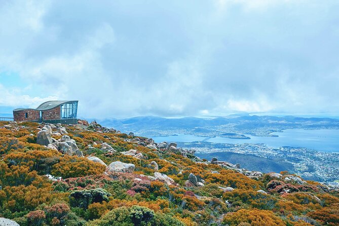 Shore Excursion-Hobart Wanderer - Richmond Bridge and town time: history you can actually walk