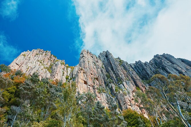 Shore Excursion: Hobart Wanderer - Mt. Wellington: cold air, wide views, and a proper weather check
