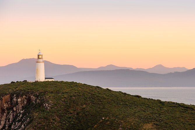 Shore Excursion: Nipaluna (Hobart) Highlights - Weather, Timing, and Who This Tour Fits Best