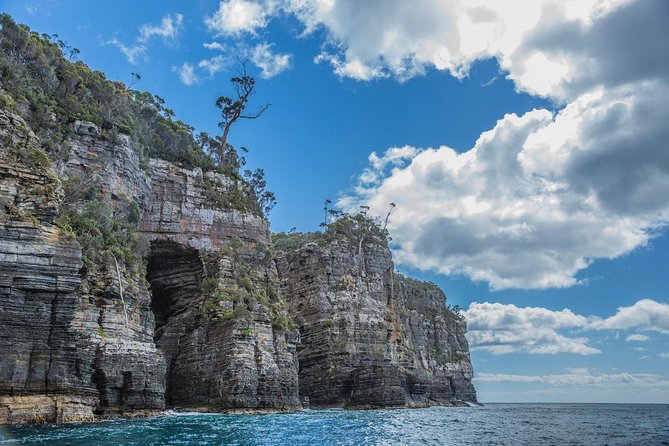 Shore Excursion - Port Arthur - Tasman Peninsula - A smart half-day mix: Port Arthur plus the Tasman Peninsula coastline