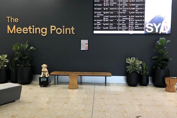 Shuttle Transfer from Sydney Airport to Cruise Ship Terminal at Circular Quay - How to avoid a missed pickup: the practical checklist