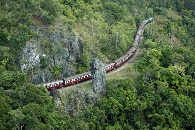 Sightseeing Kuranda Self-Driving Tour - Freshwater Station Switch: The Moment You Change Modes