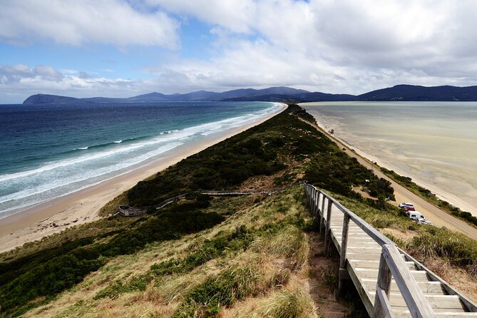 Signature Bruny Island Tour - Hobart & SE Tasmania - Oysters at Get Shucked and wine at Bruny Island Premium Wines
