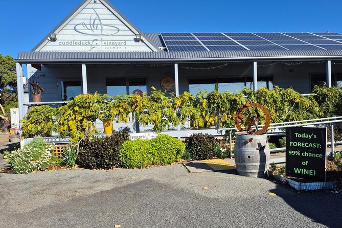 Signature Saturday Wine Tour - Included transport and the small-group size: the comfort factor