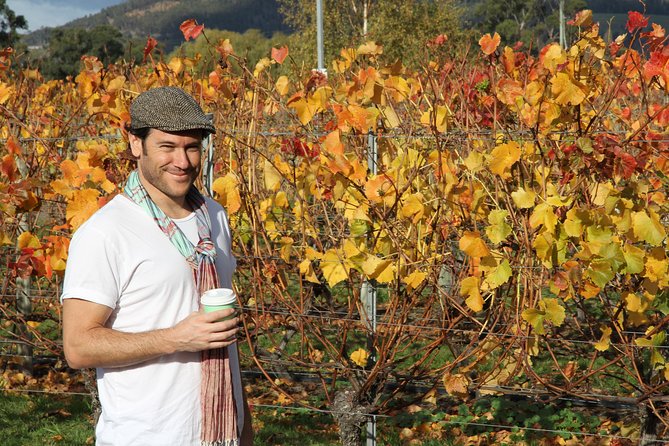 Signature Tour - Getting Between Tastings: Why the Air-Conditioned Vehicle Matters