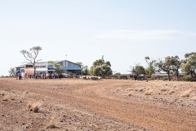 Silver-Tails Rail Sunset With Smithy's Dinner and Show - Price and value: is €100.28 a fair deal for Longreach?