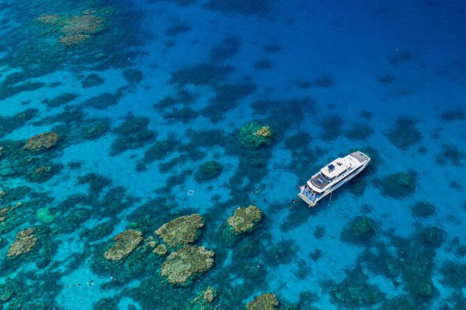 Silverswift Dive and Snorkel Great Barrier Reef Cruise - Key things I’d plan around