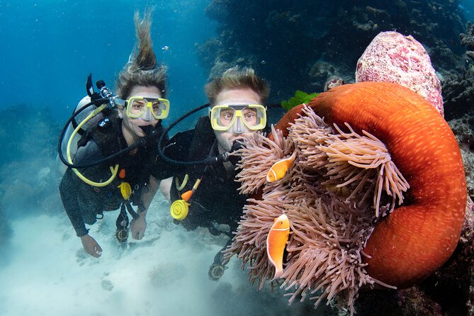 Silverswift Dive and Snorkel Great Barrier Reef Cruise - Photos and GoPros: the keep-sake cost you should plan for