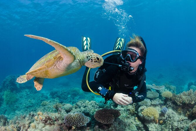 Silverswift Dive and Snorkel Great Barrier Reef Cruise - Price and value: is $212.30 a good deal?