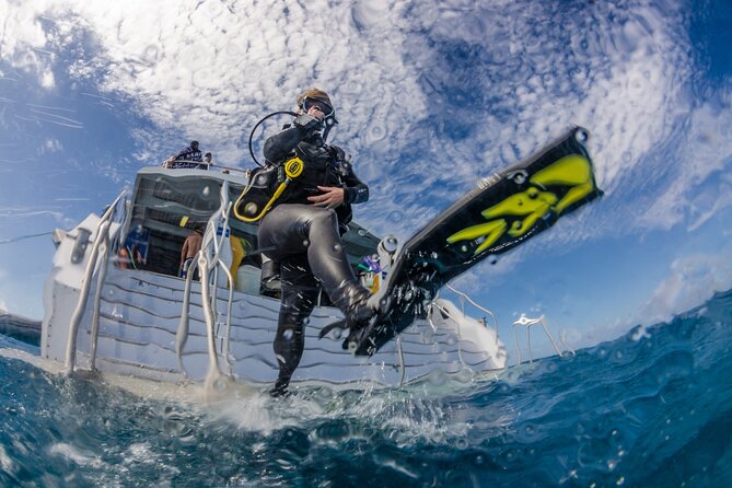 Silverswift Dive and Snorkel Great Barrier Reef Cruise - Who should book this and who might not love it