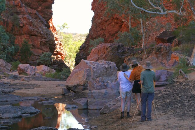Simpsons Gap Sunset: Watercolour Painting Class - The Simpsons Gap walk: flora, fauna, and what to look for before painting