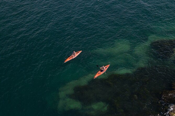 Single Kayak Hire - 4 Hours - Your 4 Hours on North Harbour: How the Paddling Plays Out