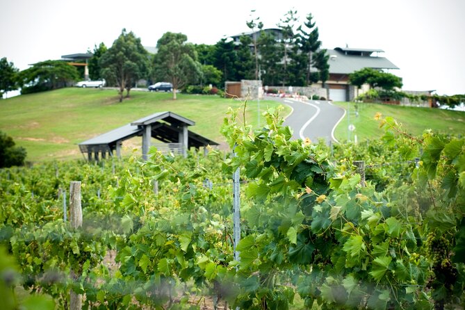 Sirromet Winery Tour and Wine Tasting - Timing and planning: how to make the most of 1.5 hours