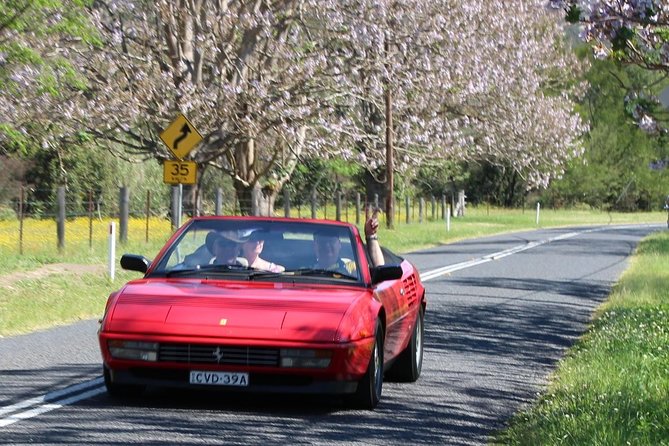 Six-Bridges-of-Sydney-Vintage-Car-Ride-Experience - Views from Anzac and Gladesville Bridges that broaden the skyline