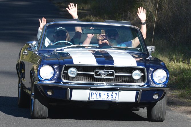 Six-Bridges-of-Sydney-Vintage-Car-Ride-Experience - Pricing and value: is $279.72 worth it?