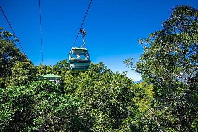 Skyrail Rainforest Cableway Day Trip from Cairns - Quick takeaways before you book
