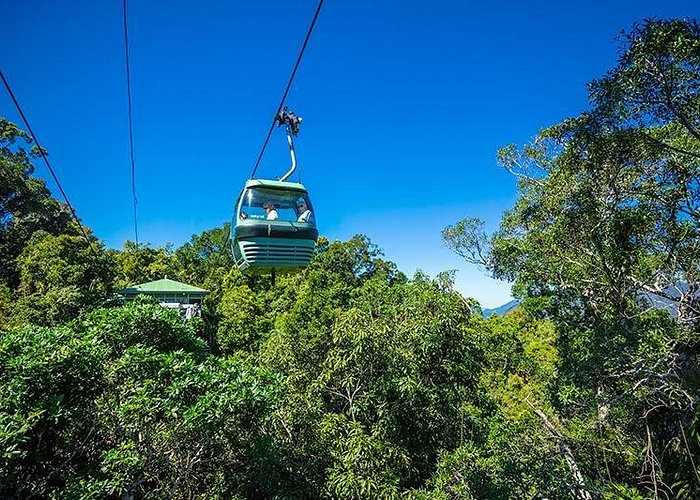 Skyrail Rainforest Cableway Day Trip from Cairns - Wildlife add-ons around Kuranda: Butterfly Sanctuary, Koala Gardens, Birdworld