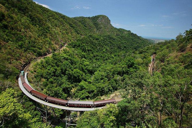 Skyrail Rainforest Cableway Day Trip from Palm Cove - Key things to know before you go