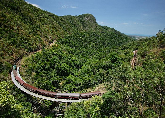 Skyrail Rainforest Cableway Day Trip from Palm Cove - Stop 1: Skyrail Rainforest Cableway (7.5 km overhead views)