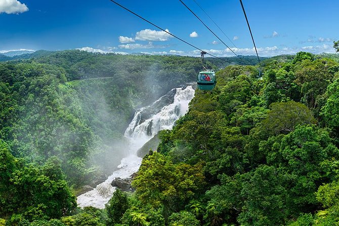 Skyrail Rainforest Cableway Day Trip from Port Douglas - Skyrail over the canopy: the view is the whole point
