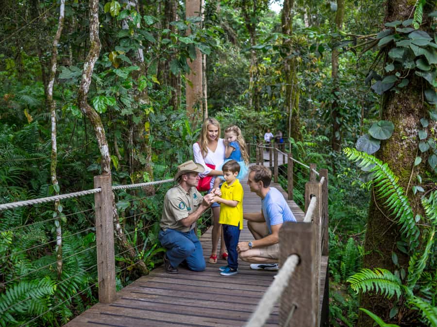 Skyrail Rainforest Cableway Round-Trip Experience - Smithfield Terminal to the first stop: making the gondola ride work for you