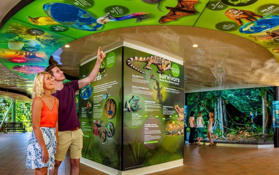 Skyrail Rainforest Cableway Round-Trip Experience - Barron Falls Station and The Edge Lookout: where the rainforest meets the drama