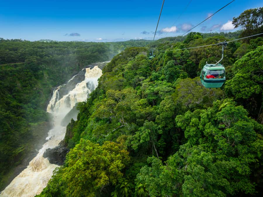 Skyrail Rainforest Cableway Round-Trip Experience - Who Skyrail is best for (and who might want a different plan)