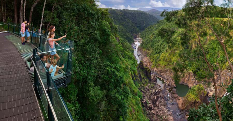 Skyrail Rainforest Cableway Round-Trip Experience - Red Peak Station boardwalk: the free ranger tour that gives you instant context