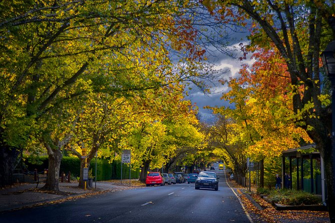 Small Group Adelaide Hills and Hahndorf Hideaway Tour from Adelaide - Howard Vineyard and Sidewood Estate: two tastings, two different vibes