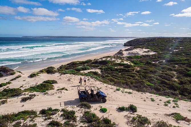 Small-Group Buggy Tour at Little Sahara with Guide - Quick hits before you book