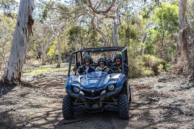 Small-Group Buggy Tour at Little Sahara with Guide - Why Little Sahara on four wheels beats a normal nature walk