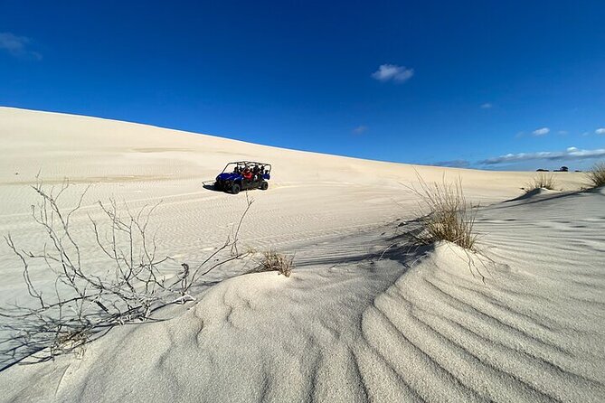 Small-Group Buggy Tour at Little Sahara with Guide - What you actually get for your $105.43