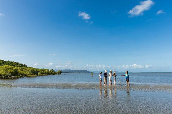 Small Group Daintree Rainforest and Aboriginal Coastal Adventure - Key highlights you’ll actually feel