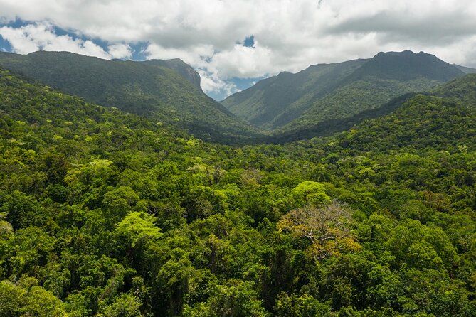 Small Group Daintree Rainforest and Aboriginal Coastal Adventure - Kuku Yalanji Country: what this day is really about
