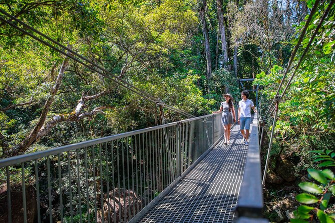 Small Group Daintree Rainforest and Aboriginal Coastal Adventure - Mayi Café lunch: bush flavours that actually fit the day