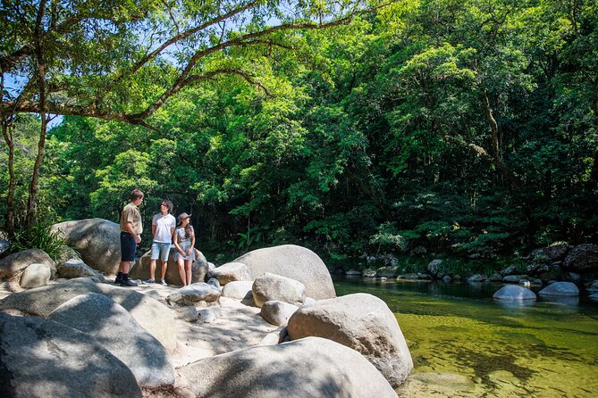 Small Group Daintree Rainforest and Aboriginal Coastal Adventure - Price and value: what $288.11 buys you (and what it doesn’t)