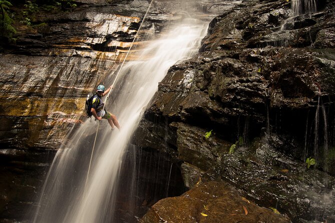 Small-Group Full-Day Rock Climbing Adventure from Katoomba - Abseiling: the skill that makes you feel in control