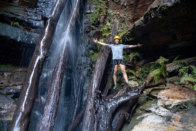 Small-Group Full-Day Rock Climbing Adventure from Katoomba - Price and value: what you pay for with $179.31