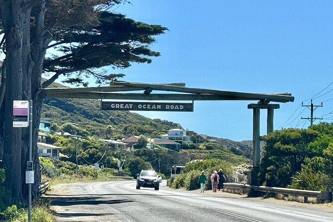Small group Great Ocean Road Reverse & Wildlife spotting - Wildlife Time: Kennett River to Anglesea Kangaroo Colonies