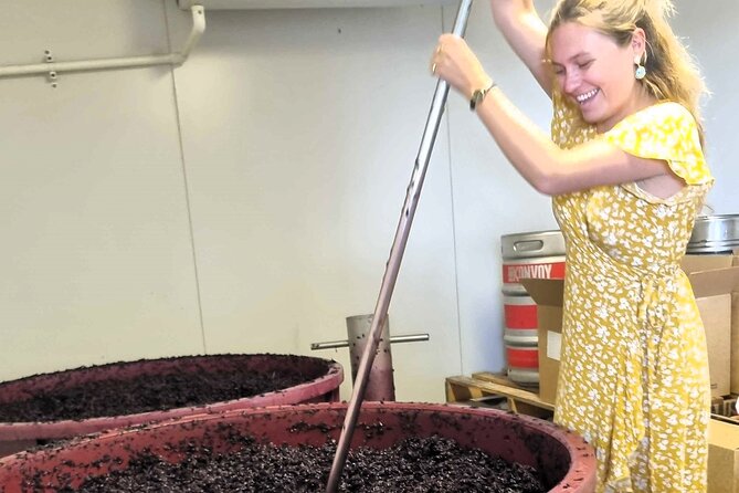 Small Group Hunter Valley Wine Tour + Lunch, Gin & Choc ex Sydney - The Real Timing: 11–12 Hours from Sydney (Plan Your Day Around It)