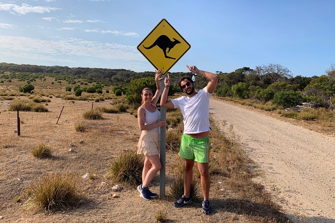 Small Group Kangaroo Island Evening and Night Tour - Family-Friendly Night Fun (Including the Star Show)