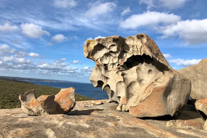 Small Group Kangaroo Island Tour - Best of KI in 2 Days - 4WD Transport on KI: Comfort, Timing, and the Dirt-Road Reality