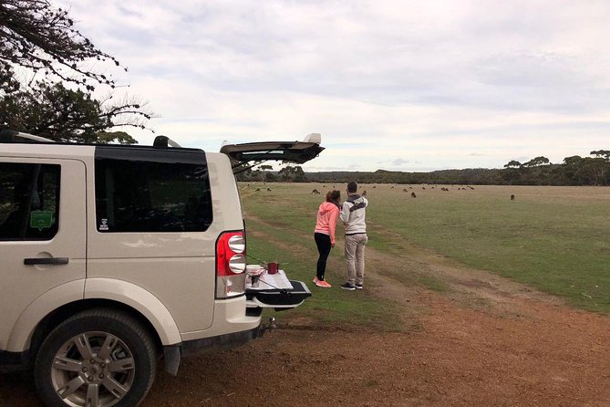 Small Group Kangaroo Island Tour - Flinders Chase - Admirals Arch and Snelling Beach: Where Wildlife Watching Gets Real