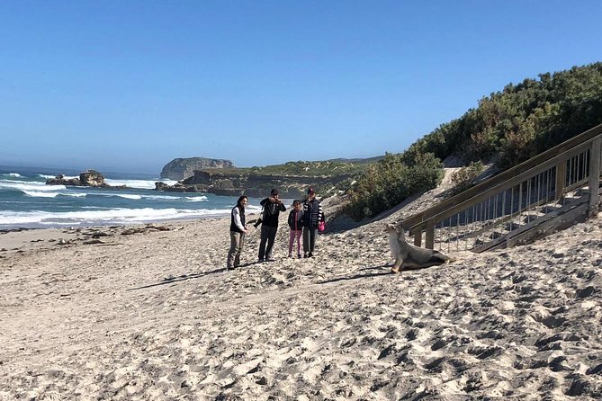 Small Group Kangaroo Island Tour - Seal Bay - Kangaroo Island 4WD: why this small-group Seal Bay day works