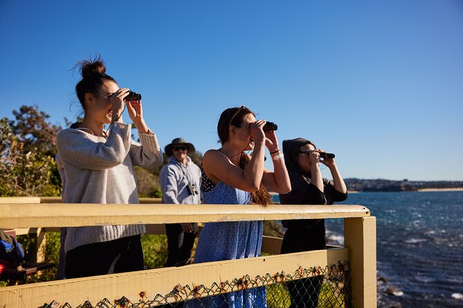 Small Group Manly Snorkel Tour and Nature Walk with Local Guide - Gear and wetsuits: plan for real water temperature