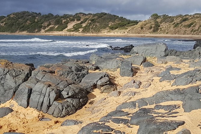 Small Group Personalised Private Tours Melbourne (up to 14 pax) - Puffing Billy Playground and Mornington Peninsula: the quick add-ons