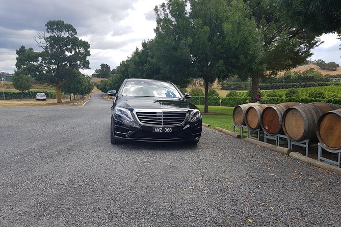 Small Group Personalised Private Tours Melbourne (up to 14 pax) - Timing, group size, and why booking early helps