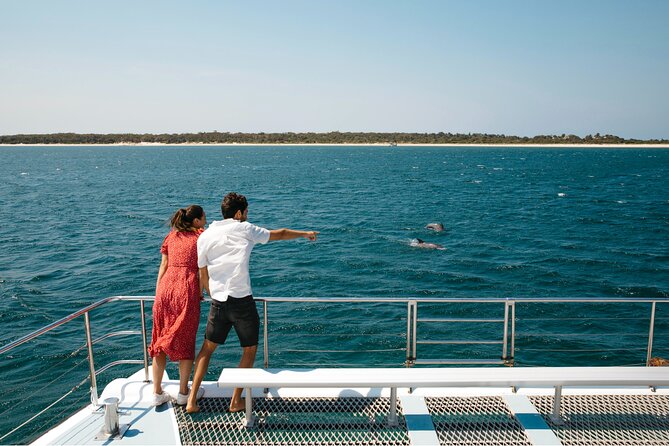Small Group Port Stephens + Dolphins + 4WD/sandboarding ex Sydney - Quick takeaways before you go