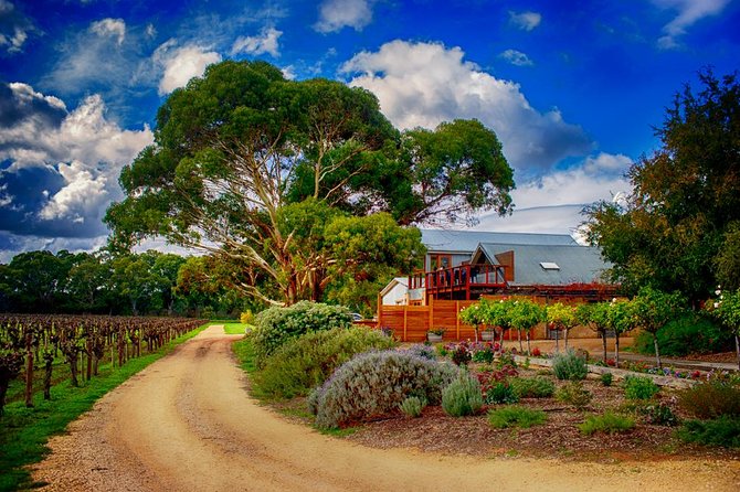 Small-Group River Murray Dark Sky and Sunset Tour with Dinner - Price and Value: Does $214.46 Make Sense?
