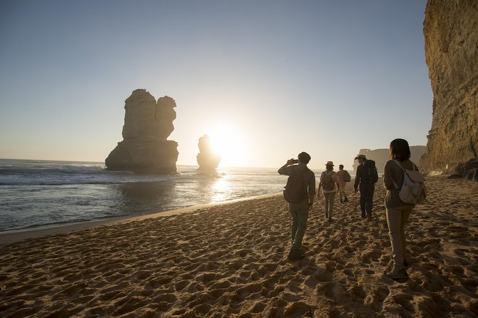 Small-Group Sunset Great Ocean Road Chocolaterie Tour from Melbourne - Coastal towns and the koala hunt toward Kennett River